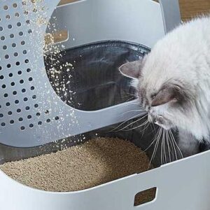 Cat Litter